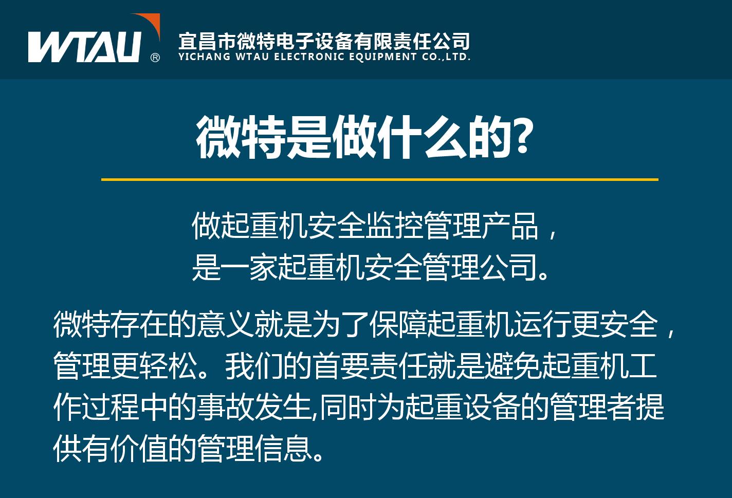 微特理念及未來愿景的解讀